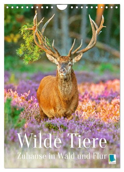 Wilde Tiere: Zuhause in Wald und Flur (Wandkalender 2026 DIN A4 hoch) CALVENDO Monatskalender