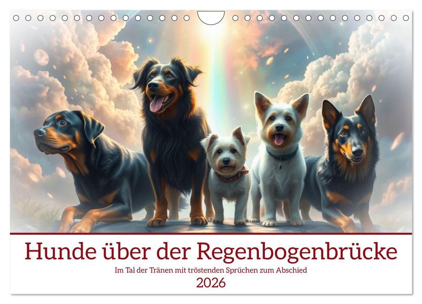 Hunde über der Regenbogenbrücke (Wandkalender 2026 DIN A4 quer) CALVENDO Monatskalender