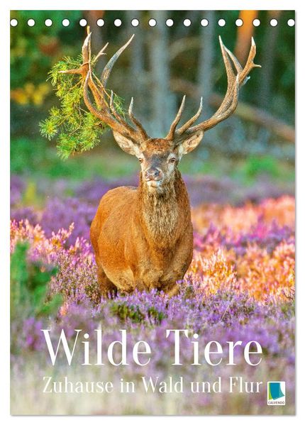 Wilde Tiere: Zuhause in Wald und Flur (Tischkalender 2026 DIN A5 hoch) CALVENDO Monatskalender