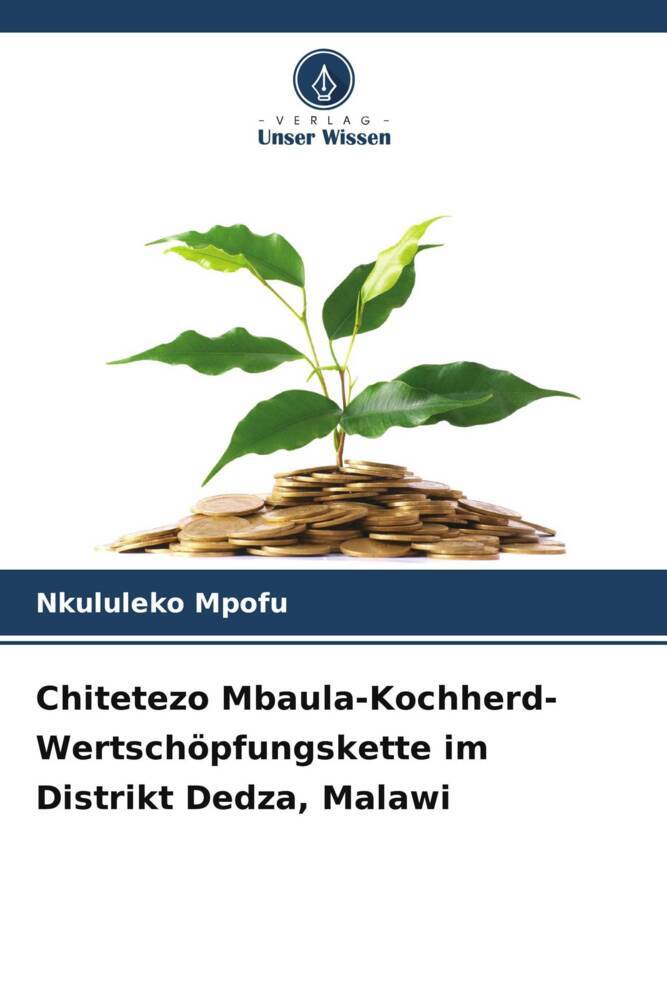 Chitetezo Mbaula-Kochherd-Wertschöpfungskette im Distrikt Dedza Malawi