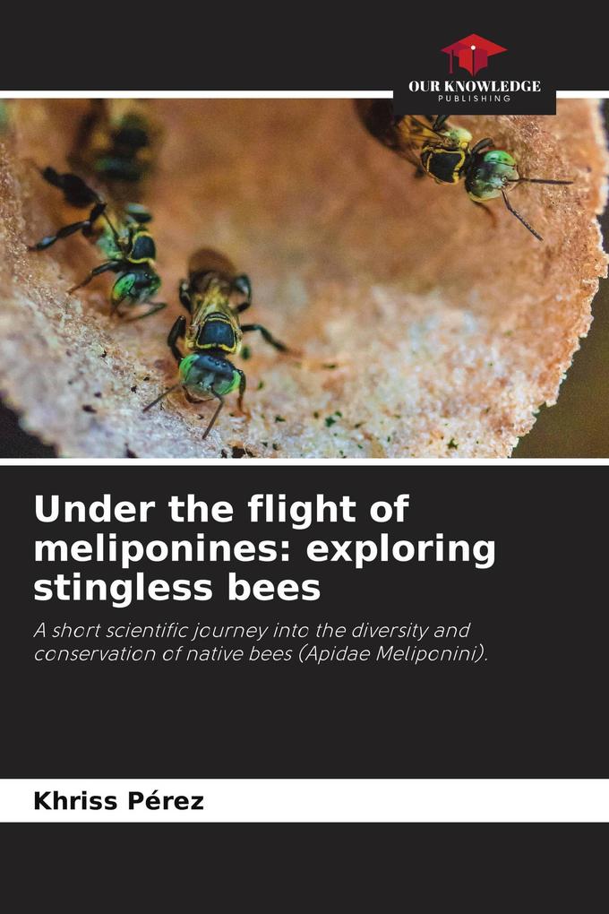 Under the flight of meliponines: exploring stingless bees