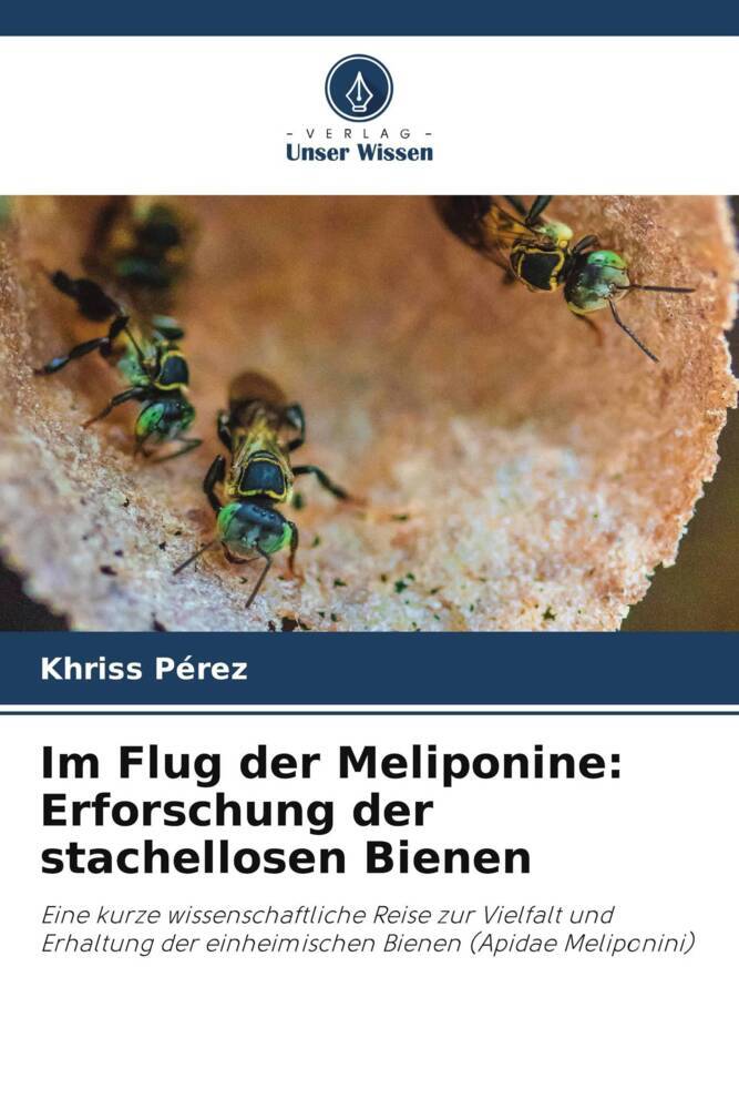 Im Flug der Meliponine: Erforschung der stachellosen Bienen