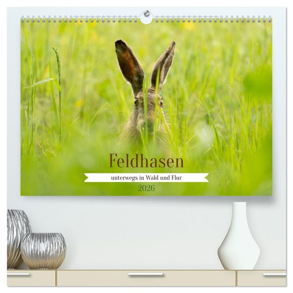Feldhasen unterwegs in Wald und Flur (hochwertiger Premium Wandkalender 2026 DIN A2 quer) Kunstdruck in Hochglanz