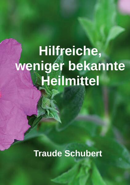 Hilfreiche weniger bekannte Heilmittel