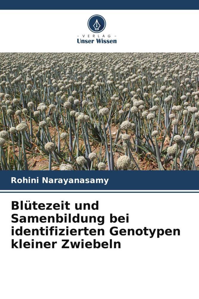 Blütezeit und Samenbildung bei identifizierten Genotypen kleiner Zwiebeln