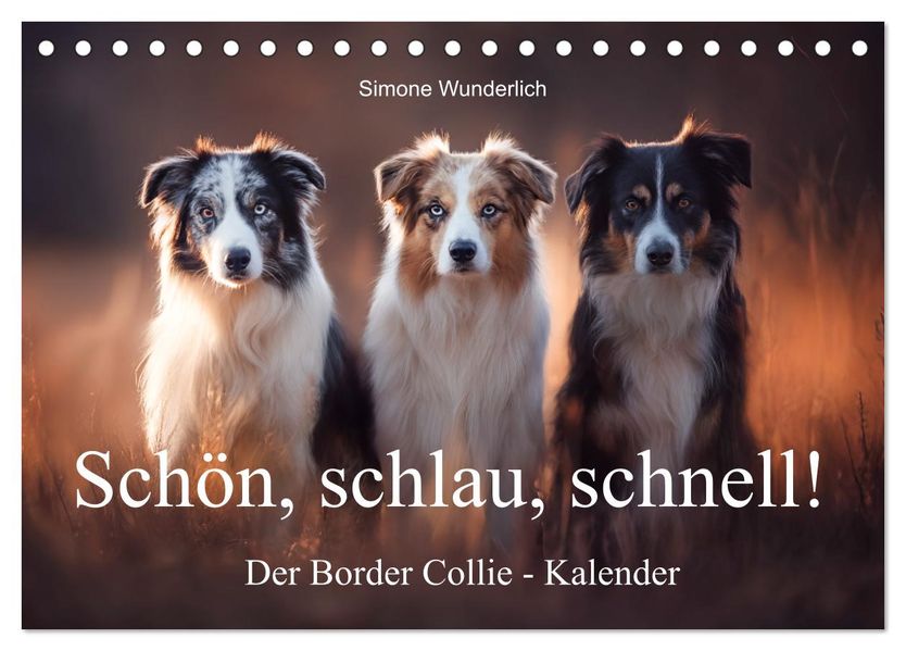 Schön schlau schnell! - Der Border Collie - Kalender (Tischkalender 2026 DIN A5 quer) CALVENDO Monatskalender