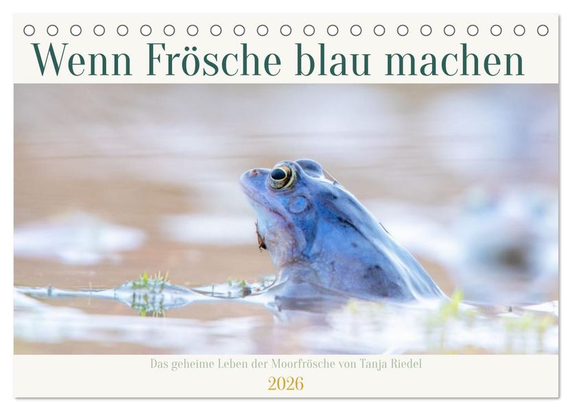 Wenn Frösche blau machen - das geheime Leben der Moorfrösche von Tanja Riedel (Tischkalender 2026 DIN A5 quer) CALVENDO Monatskalender