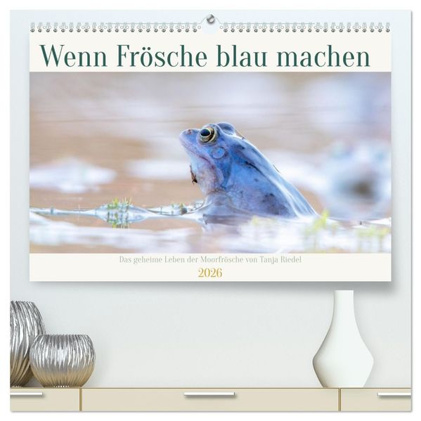 Wenn Frösche blau machen - das geheime Leben der Moorfrösche von Tanja Riedel (hochwertiger Premium Wandkalender 2026 DIN A2 quer) Kunstdruck in Hochglanz