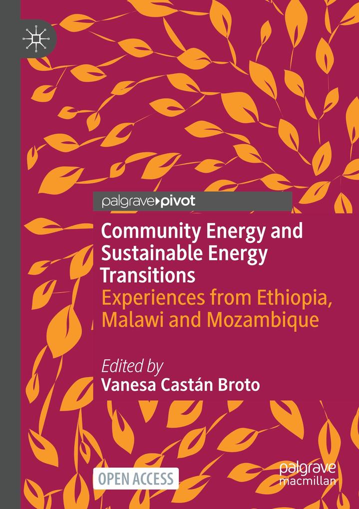 Community Energy and Sustainable Energy Transitions
