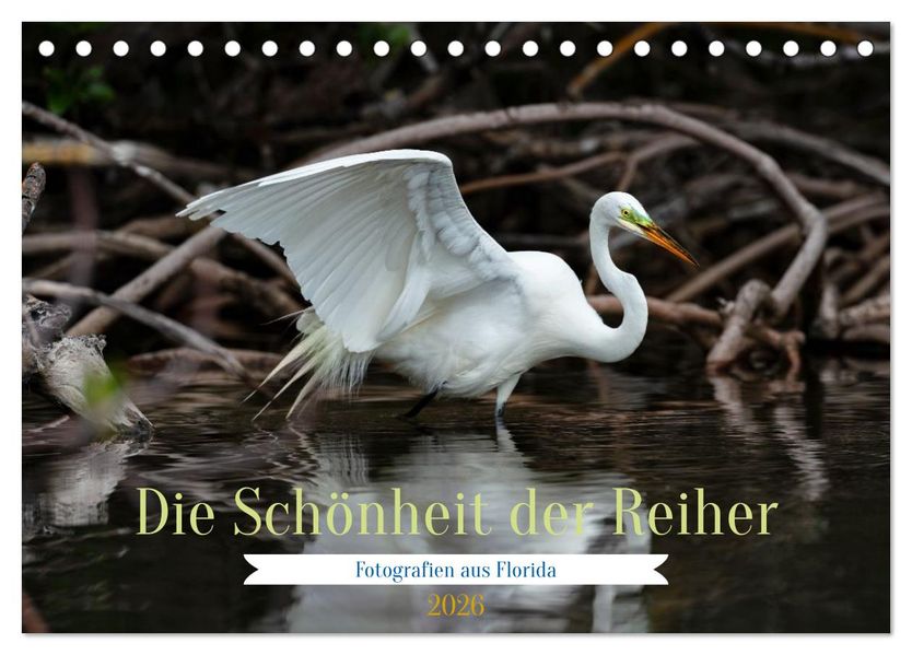 Die Schönheit der Reiher (Tischkalender 2026 DIN A5 quer) CALVENDO Monatskalender