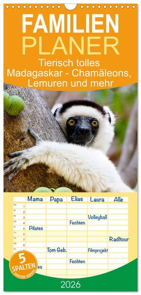 Familienplaner 2026 - Tierisch tolles Madagaskar - Chamäleons Lemuren und mehr mit 5 Spalten (Wandkalender 21 x 45 cm) CALVENDO