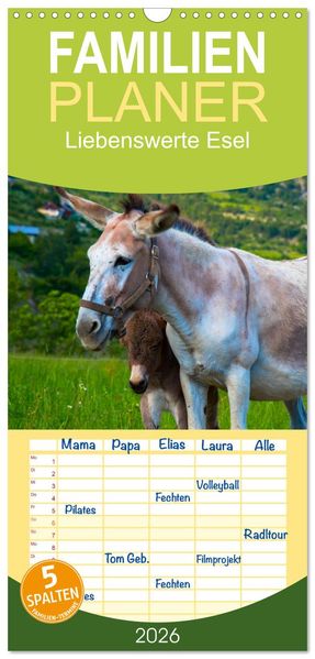 Familienplaner 2026 - Liebenswerte Esel mit 5 Spalten (Wandkalender 21 x 45 cm) CALVENDO
