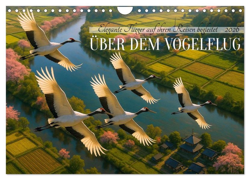 Über dem Vogelflug (Wandkalender 2026 DIN A4 quer) CALVENDO Monatskalender