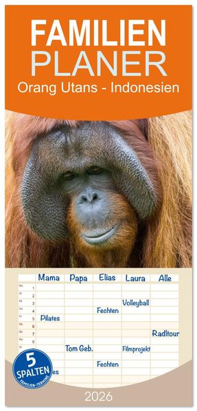 Familienplaner 2026 - Orang Utans - Indonesien mit 5 Spalten (Wandkalender 21 x 45 cm) CALVENDO