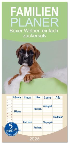 Familienplaner 2026 - Boxer Welpen einfach zuckersüß mit 5 Spalten (Wandkalender 21 x 45 cm) CALVENDO
