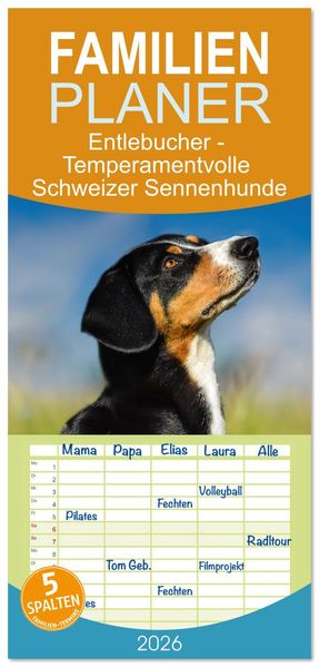 Familienplaner 2026 - Entlebucher - Temperamentvolle Schweizer Sennenhunde mit 5 Spalten (Wandkalender 21 x 45 cm) CALVENDO