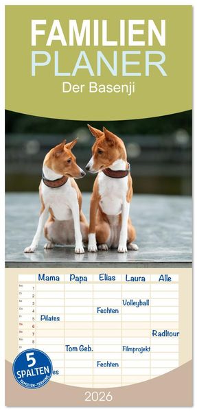 Familienplaner 2026 - Der Basenji mit 5 Spalten (Wandkalender 21 x 45 cm) CALVENDO
