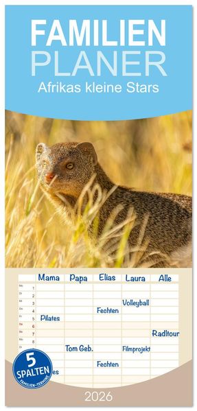 Familienplaner 2026 - Afrikas kleine Stars mit 5 Spalten (Wandkalender 21 x 45 cm) CALVENDO