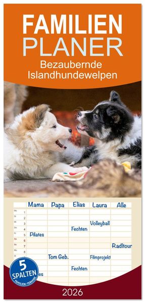 Familienplaner 2026 - Bezaubernde Islandhundewelpen mit 5 Spalten (Wandkalender 21 x 45 cm) CALVENDO
