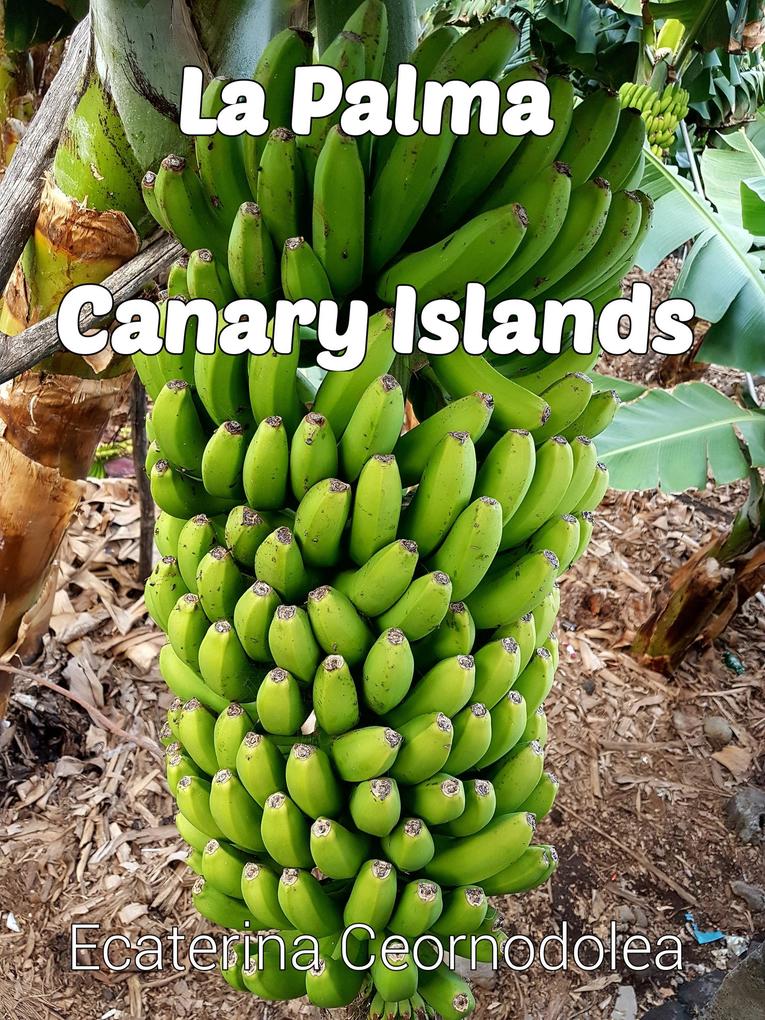 La Palma Canary Islands