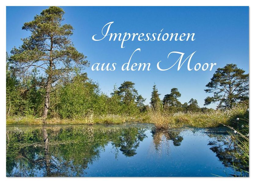 Impressionen aus dem Moor (Tischkalender 2026 DIN A5 quer) CALVENDO Monatskalender