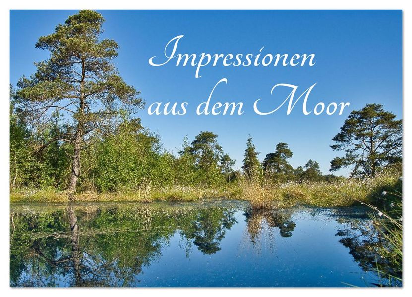 Impressionen aus dem Moor (Wandkalender 2026 DIN A3 quer) CALVENDO Monatskalender