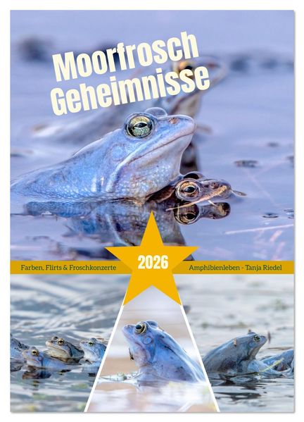 Moorfrosch Geheimnisse - Farben Flirts & Froschkonzerte - Tanja Riedel (Wandkalender 2026 DIN A2 hoch) CALVENDO Monatskalender