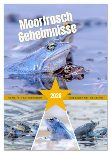 Moorfrosch Geheimnisse - Farben Flirts & Froschkonzerte - Tanja Riedel (Tischkalender 2026 DIN A5 hoch) CALVENDO Monatskalender