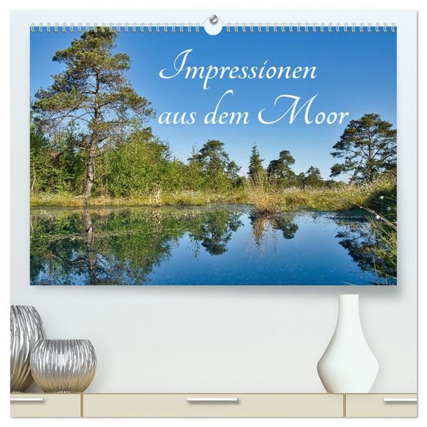 Impressionen aus dem Moor (hochwertiger Premium Wandkalender 2026 DIN A2 quer) Kunstdruck in Hochglanz