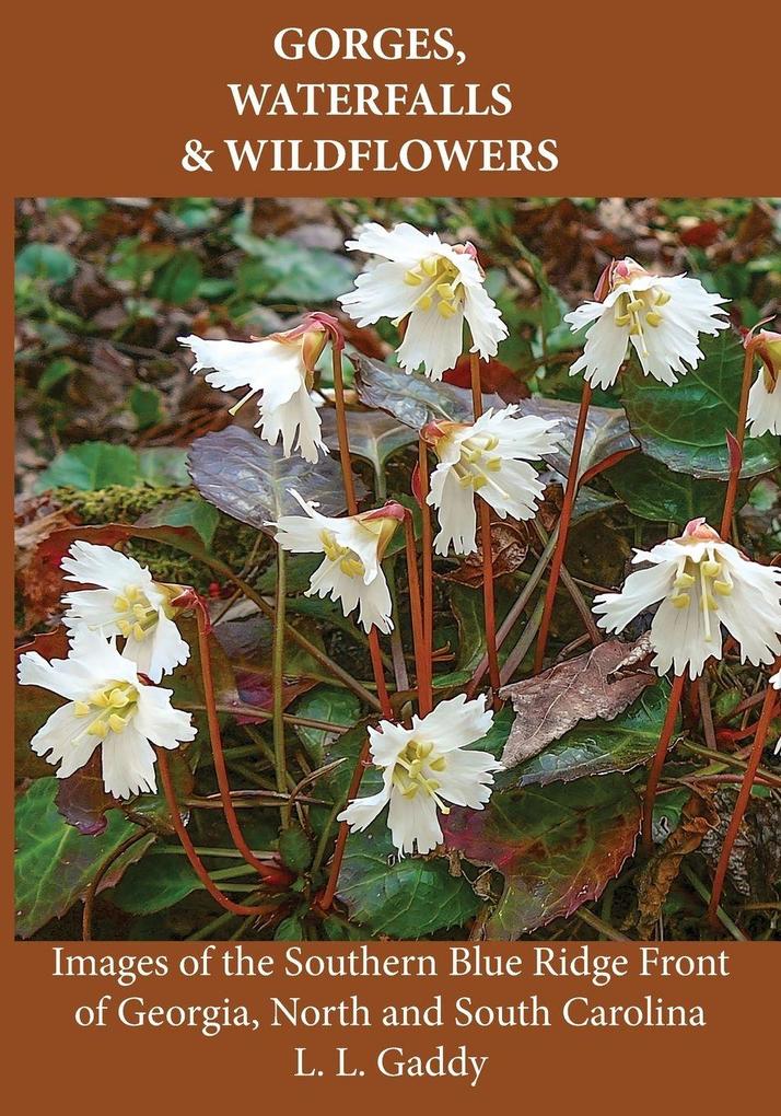 Gorges Waterfalls and Wildflowers