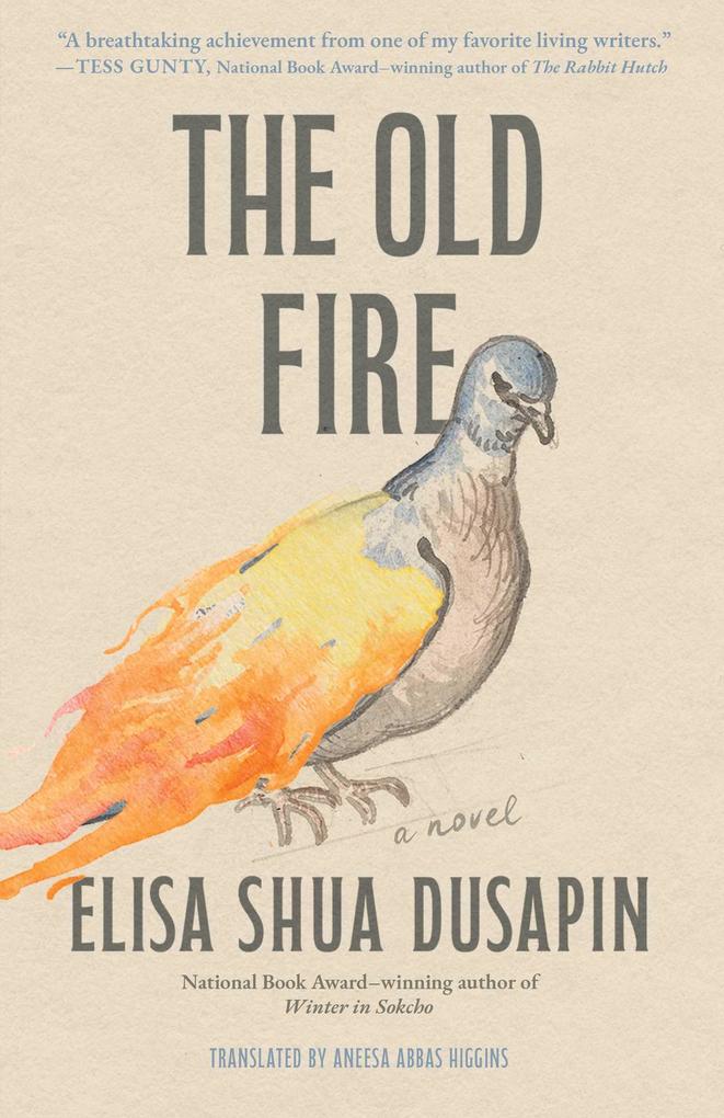 Simon + Schuster Llc The Old Fire
