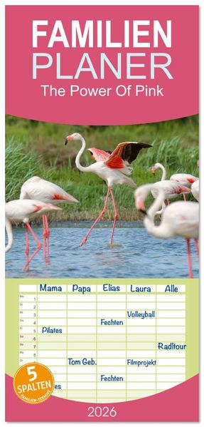 Familienplaner 2026 - The Power Of Pink mit 5 Spalten (Wandkalender 21 x 45 cm) CALVENDO