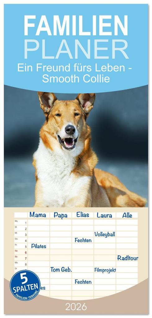 Familienplaner 2026 - Ein Freund fürs Leben - Smooth Collie mit 5 Spalten (Wandkalender 21 x 45 cm) CALVENDO