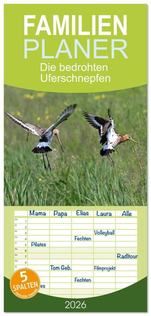 Familienplaner 2026 - Die bedrohten Uferschnepfen mit 5 Spalten (Wandkalender 21 x 45 cm) CALVENDO