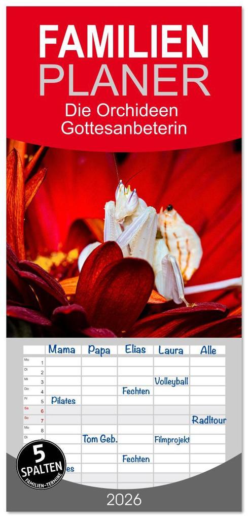 Familienplaner 2026 - Die Orchideen Gottesanbeterin mit 5 Spalten (Wandkalender 21 x 45 cm) CALVENDO