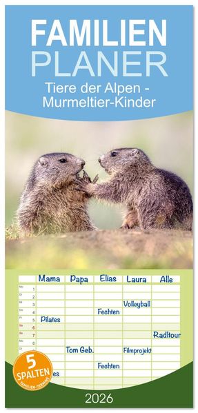 Familienplaner 2026 - Tiere der Alpen - Murmeltier-Kinder mit 5 Spalten (Wandkalender 21 x 45 cm) CALVENDO