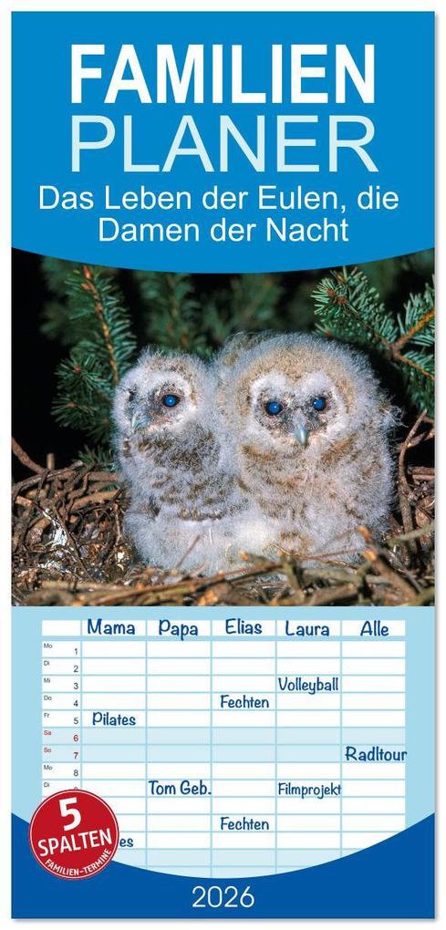 Familienplaner 2026 - Das Leben der Eulen die Damen der Nacht mit 5 Spalten (Wandkalender 21 x 45 cm) CALVENDO