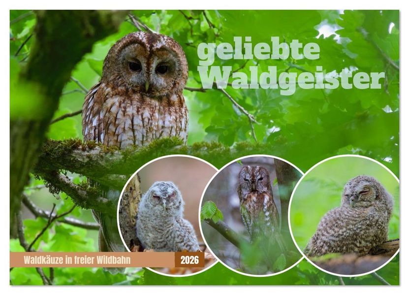 geliebte Waldgeister (Wandkalender 2026 DIN A2 quer) CALVENDO Monatskalender