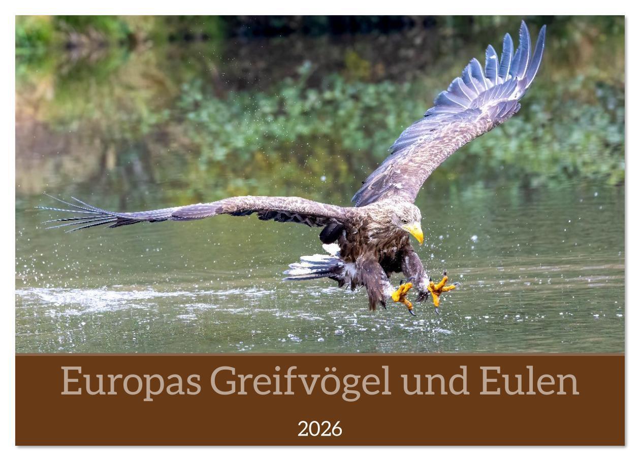 Europas Greifvögel und Eulen (Wandkalender 2026 DIN A3 quer) CALVENDO Monatskalender