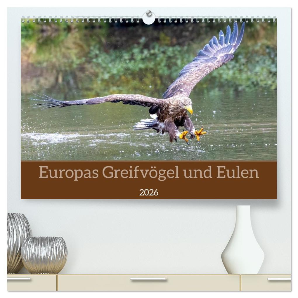 Europas Greifvögel und Eulen (hochwertiger Premium Wandkalender 2026 DIN A2 quer) Kunstdruck in Hochglanz