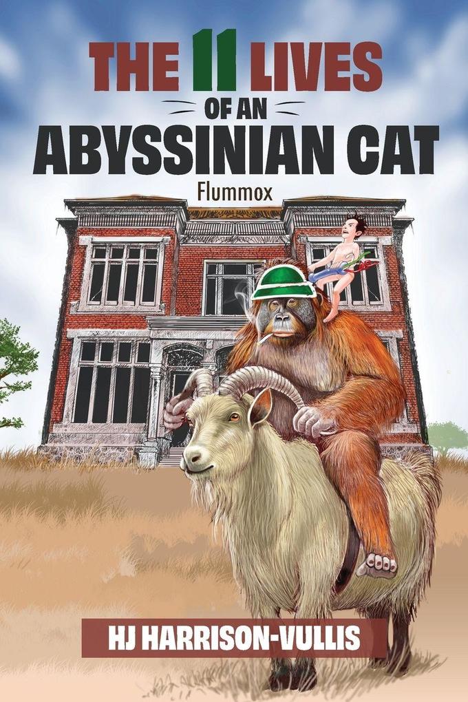 The 11 Lives of an Abyssinian Cat