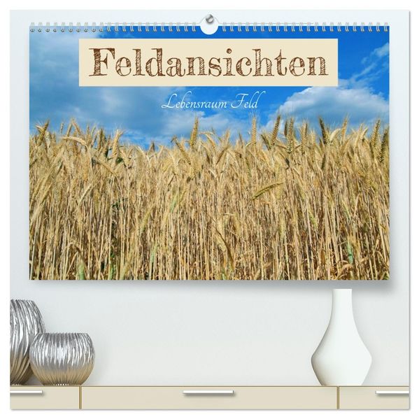 Feldansichten (hochwertiger Premium Wandkalender 2026 DIN A2 quer) Kunstdruck in Hochglanz