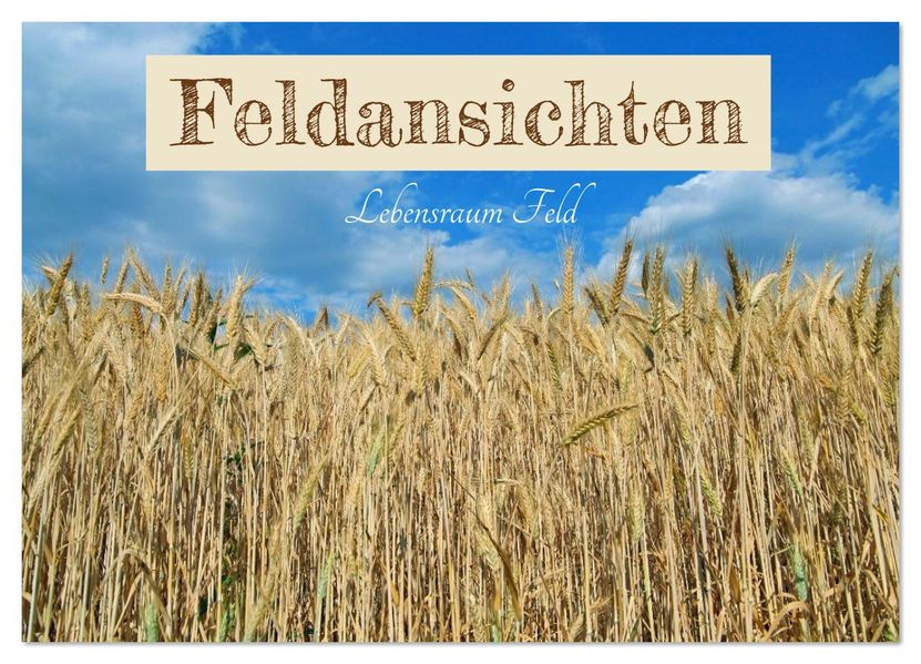Feldansichten (Wandkalender 2026 DIN A3 quer) CALVENDO Monatskalender