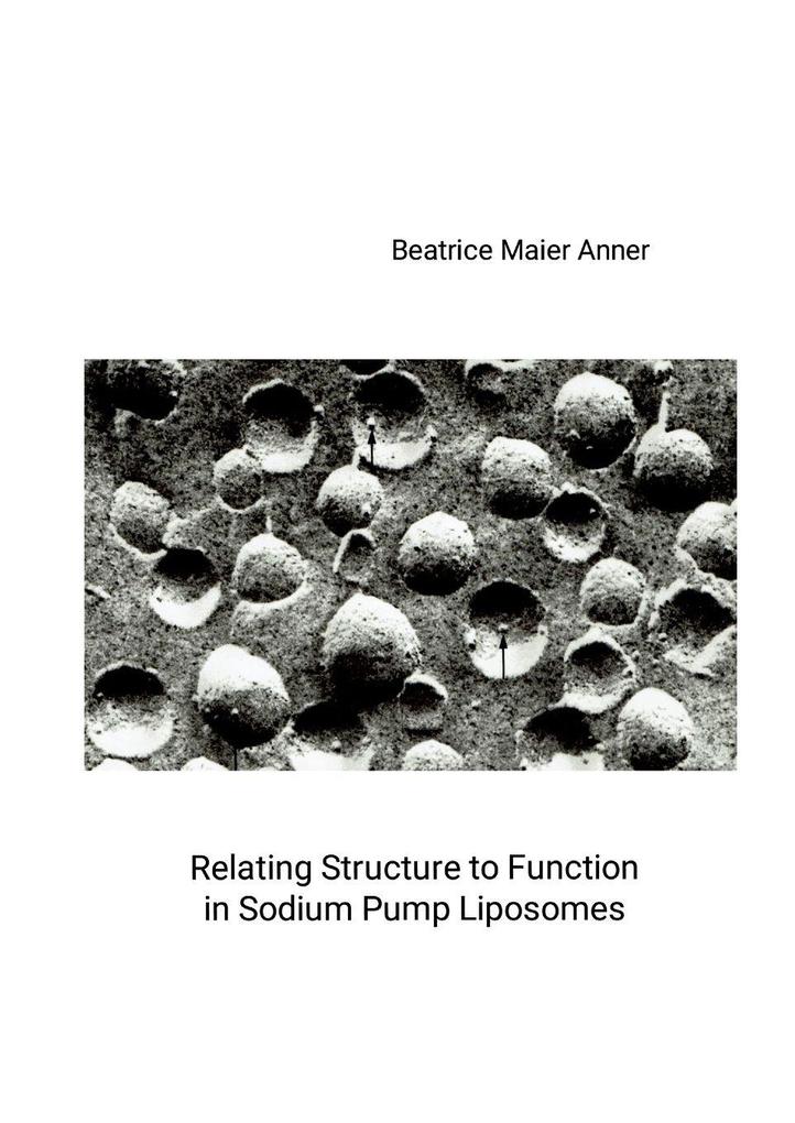 Relating Structure to Function in Sodium Pump Liposomes