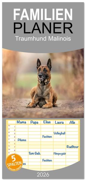 Familienplaner 2026 - Traumhund Malinois mit 5 Spalten (Wandkalender 21 x 45 cm) CALVENDO