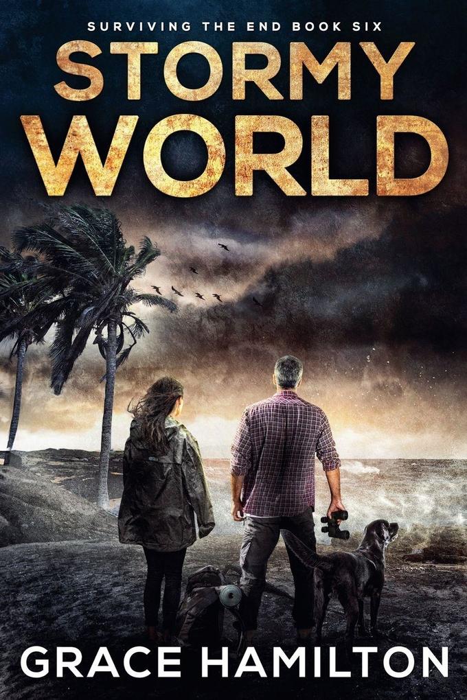 Stormy World