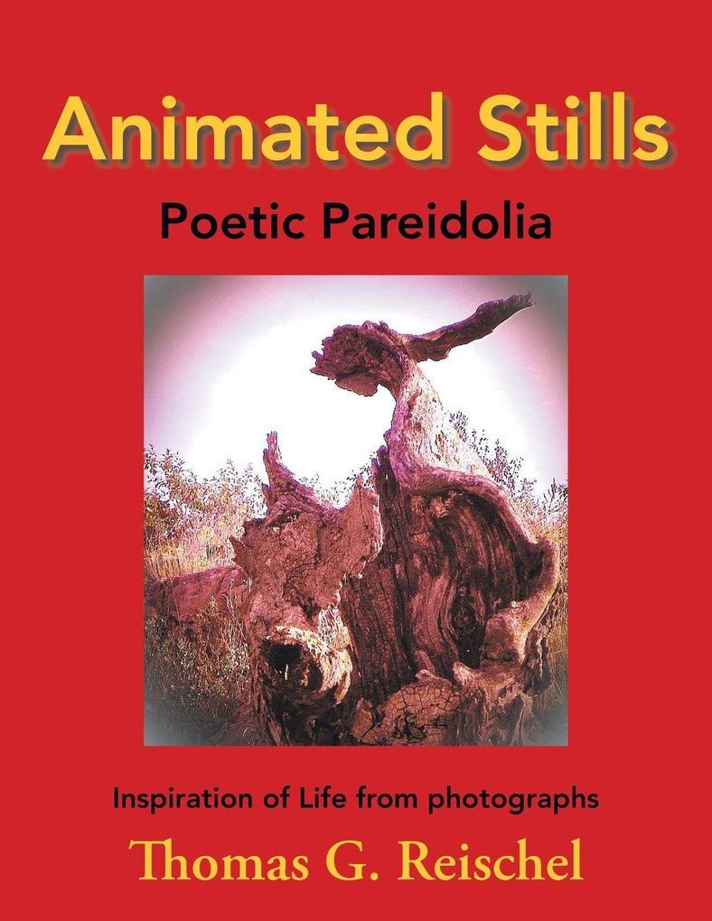 Animated Stills