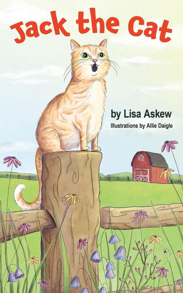 Jack the Cat