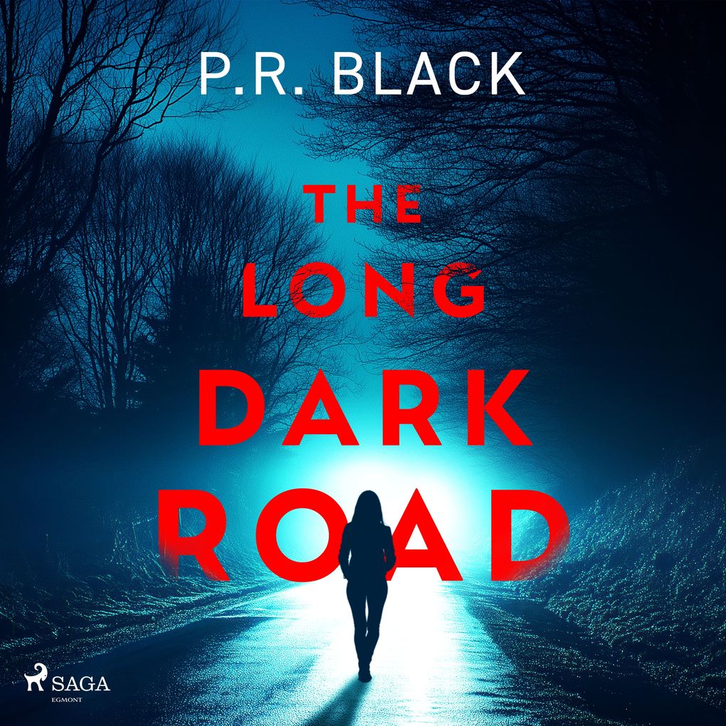 The Long Dark Road: A gripping atmospheric thriller about how far a mother will go
