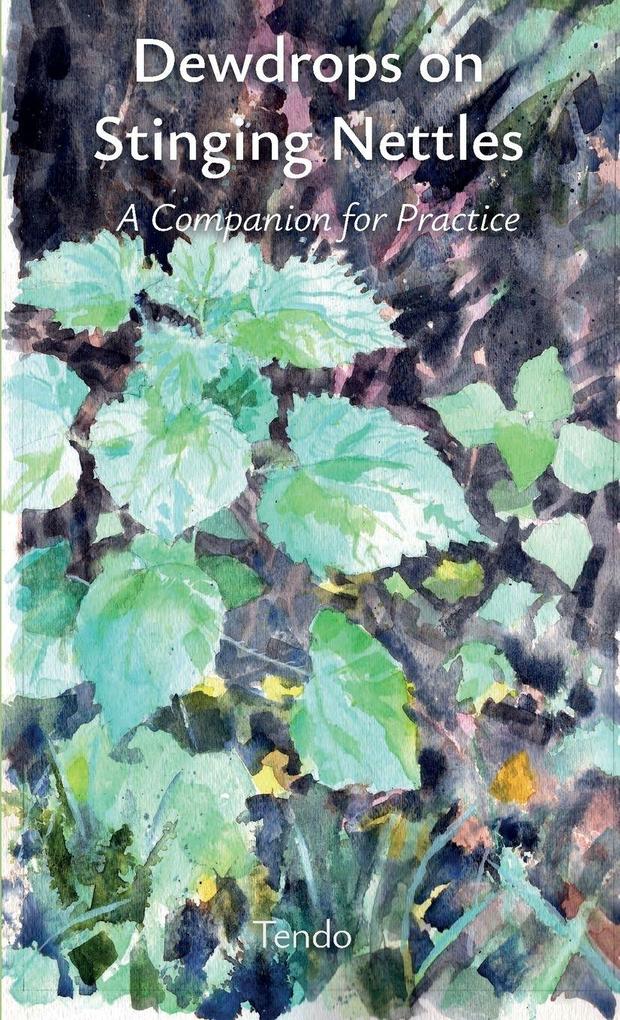 Dewdrops on Stinging Nettles